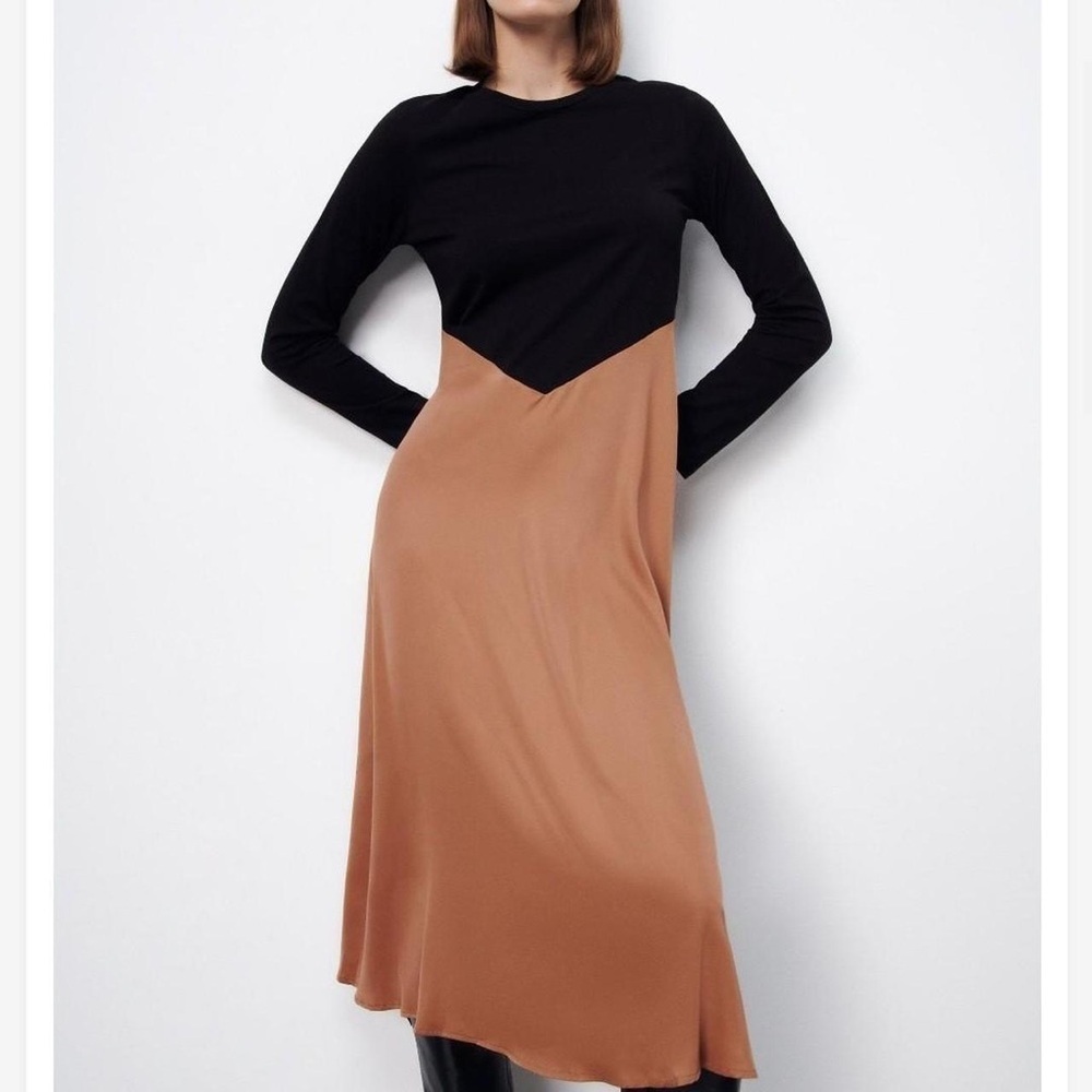 Zara Black and Tan Long Sleeve Dress